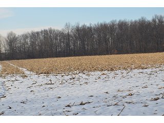 Property photo 6 - FARMLAND AUCTION, 60+/- Acres in 6 Tracts ranging from 4 to 20 acres & in combinations!